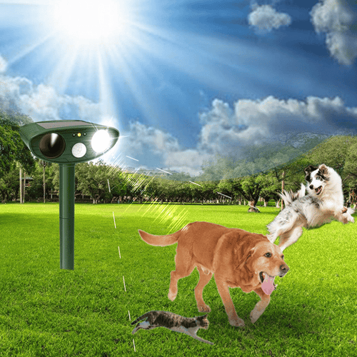 Solar-Powered Pest Defense